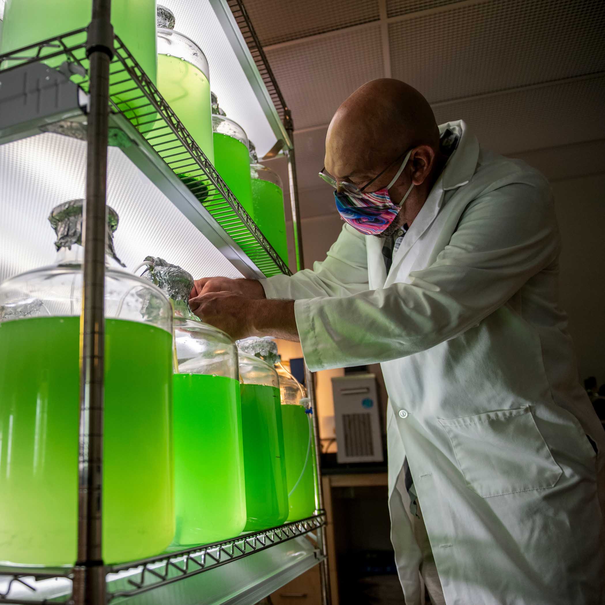 The College of Science & Engineering provides students with an abundance of experiential learning opportunities.