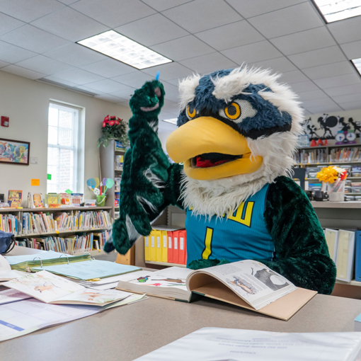 Sammy Seahawk studying