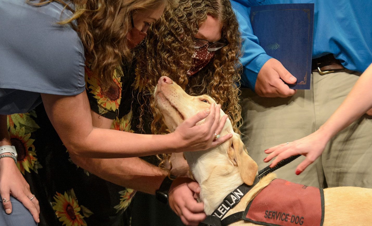 Two girls pet a service dog in training.