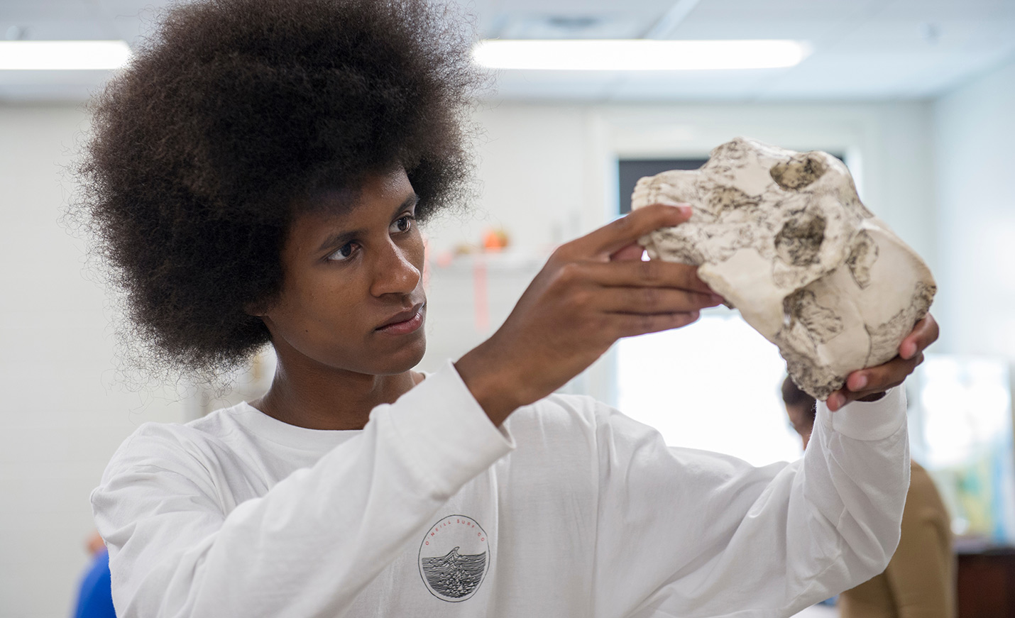 Person examining a skull