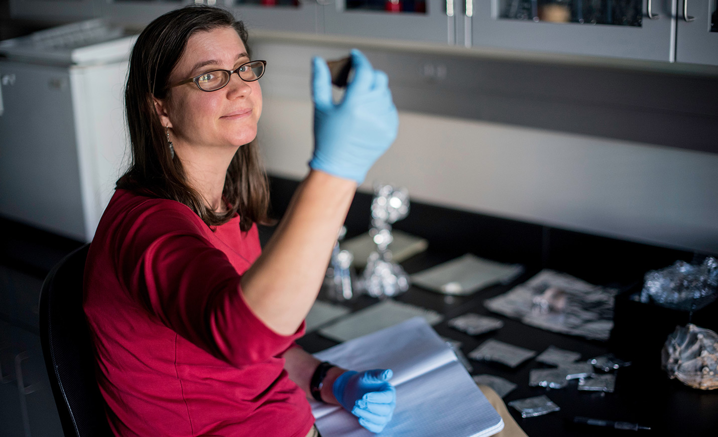 Professor working in a lab