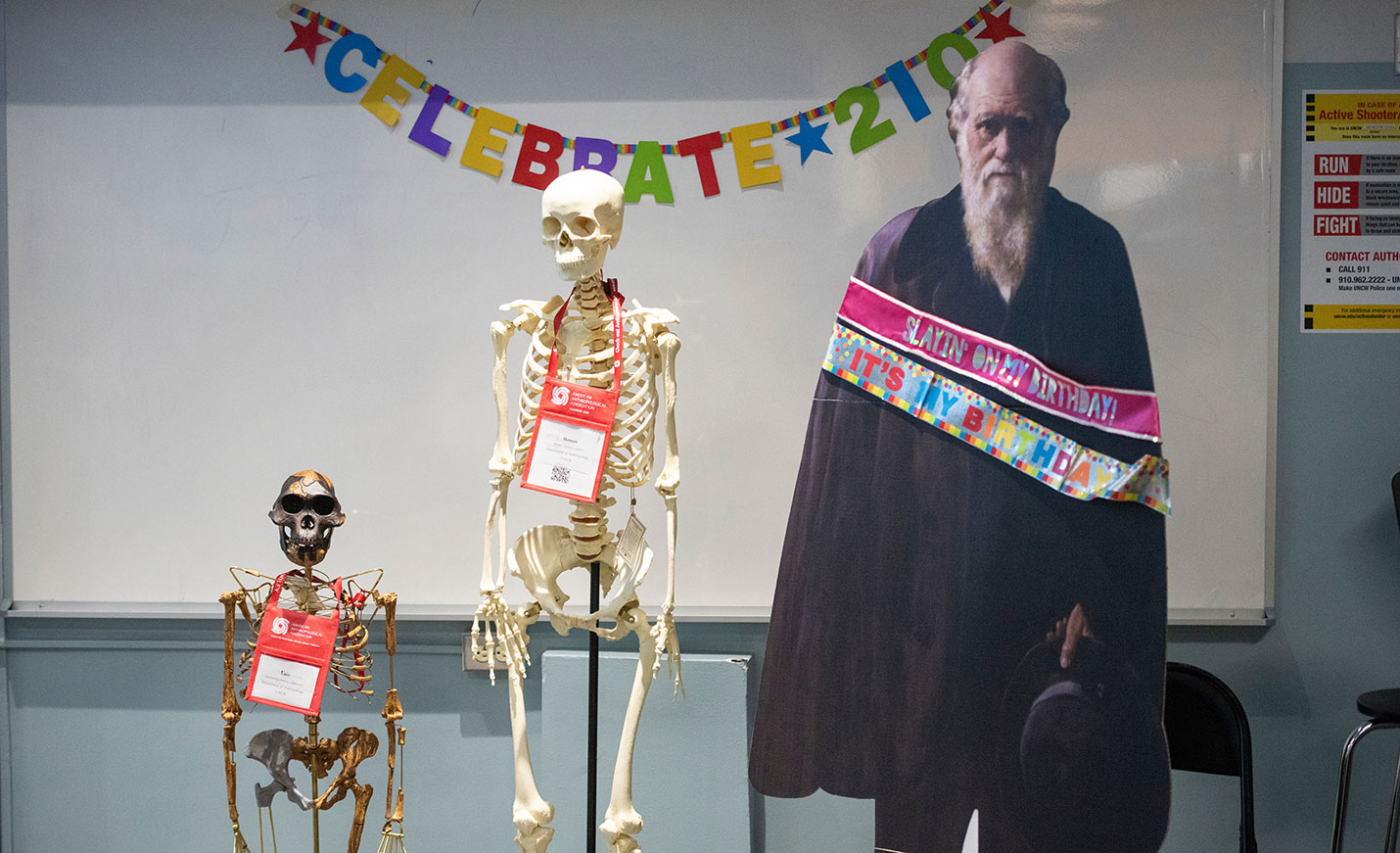 Darwin skeletons