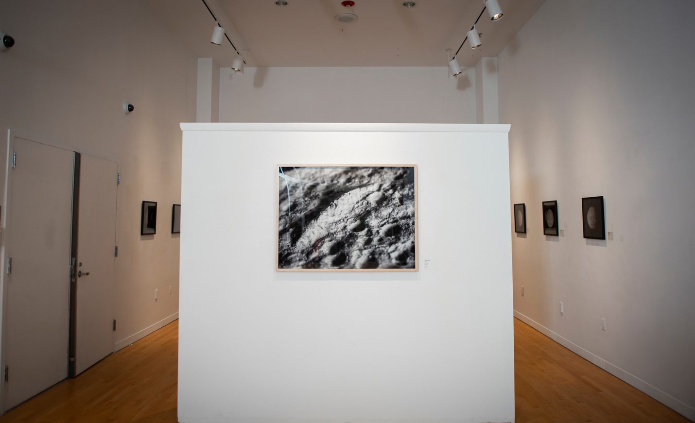 moon art exhibit
