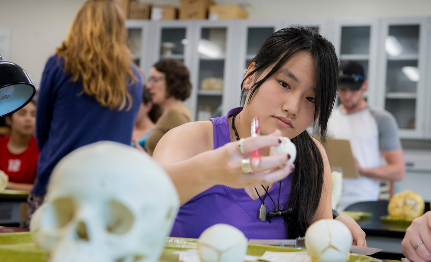 Student studies bones