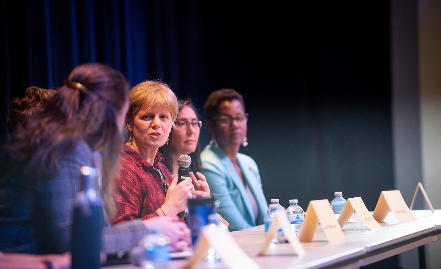 A group of women seated at a long table; one is talking using a microphone
