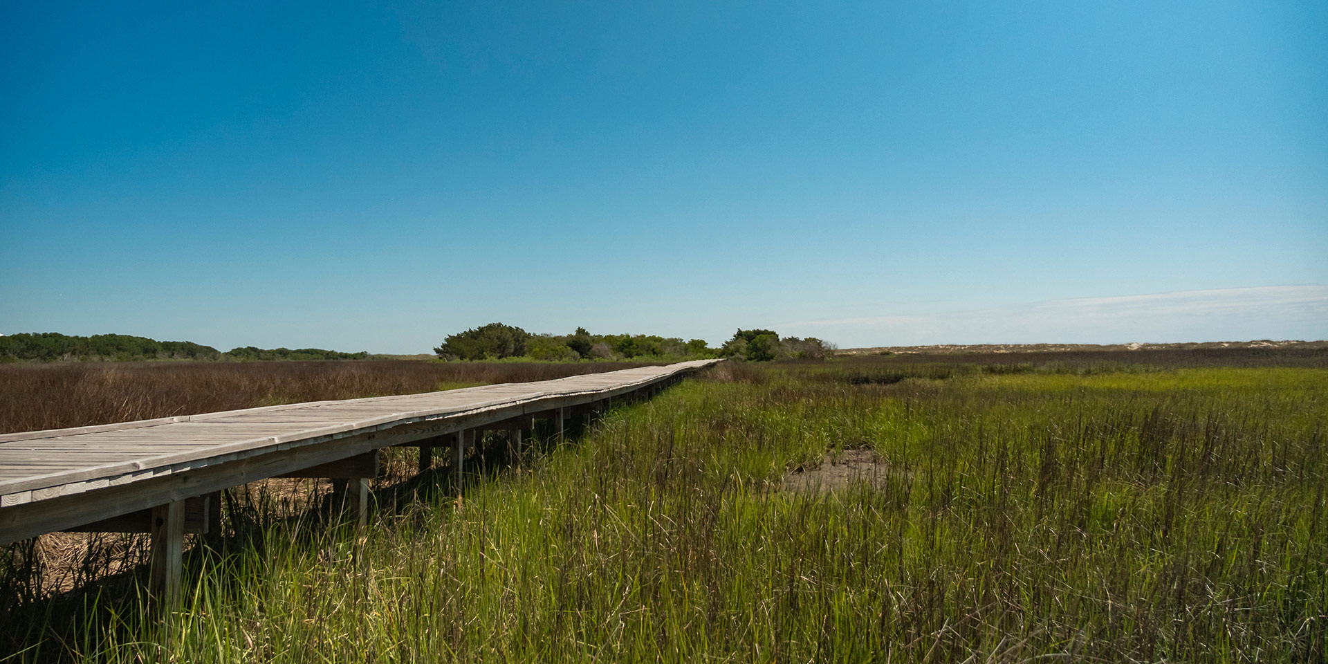 A picture of a trail through the Fort Fisher Basin