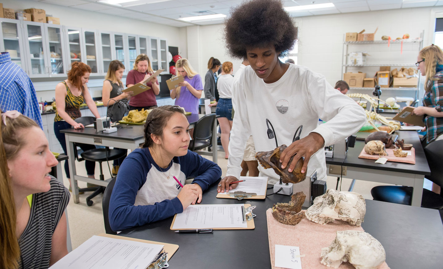 Students in a classroom