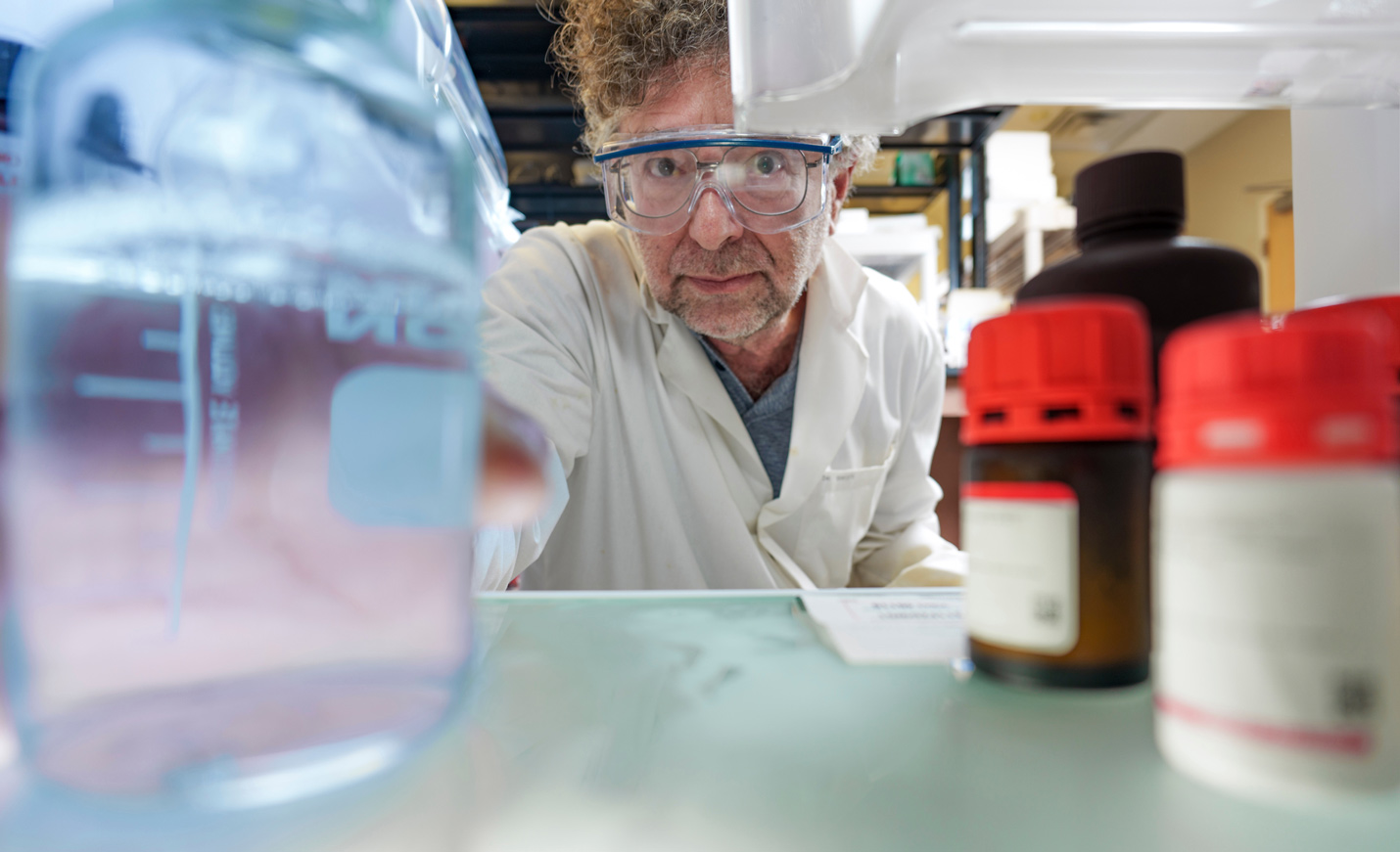 Professor reaching for specimen