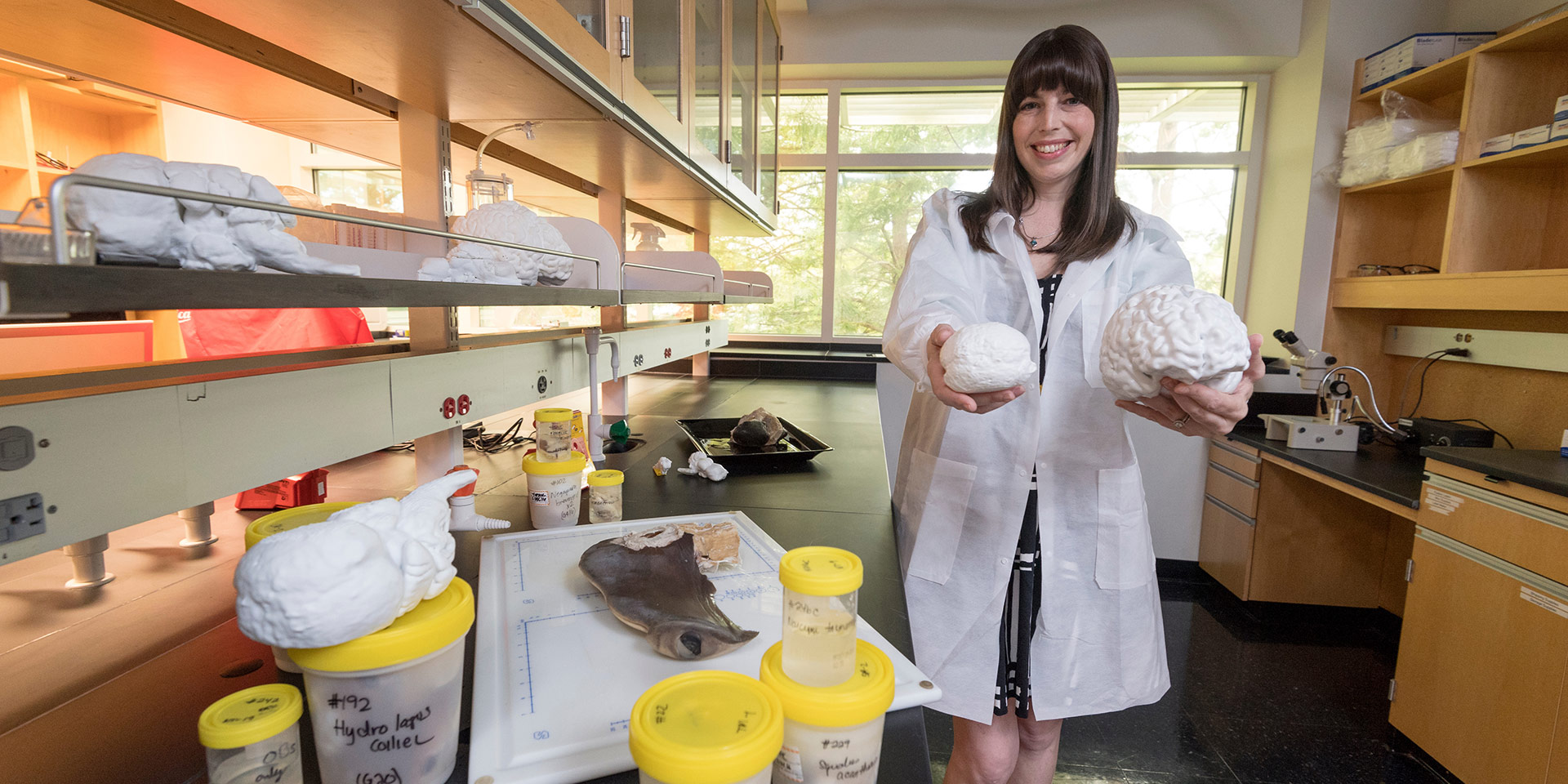 A professor holding clay models of two different brains