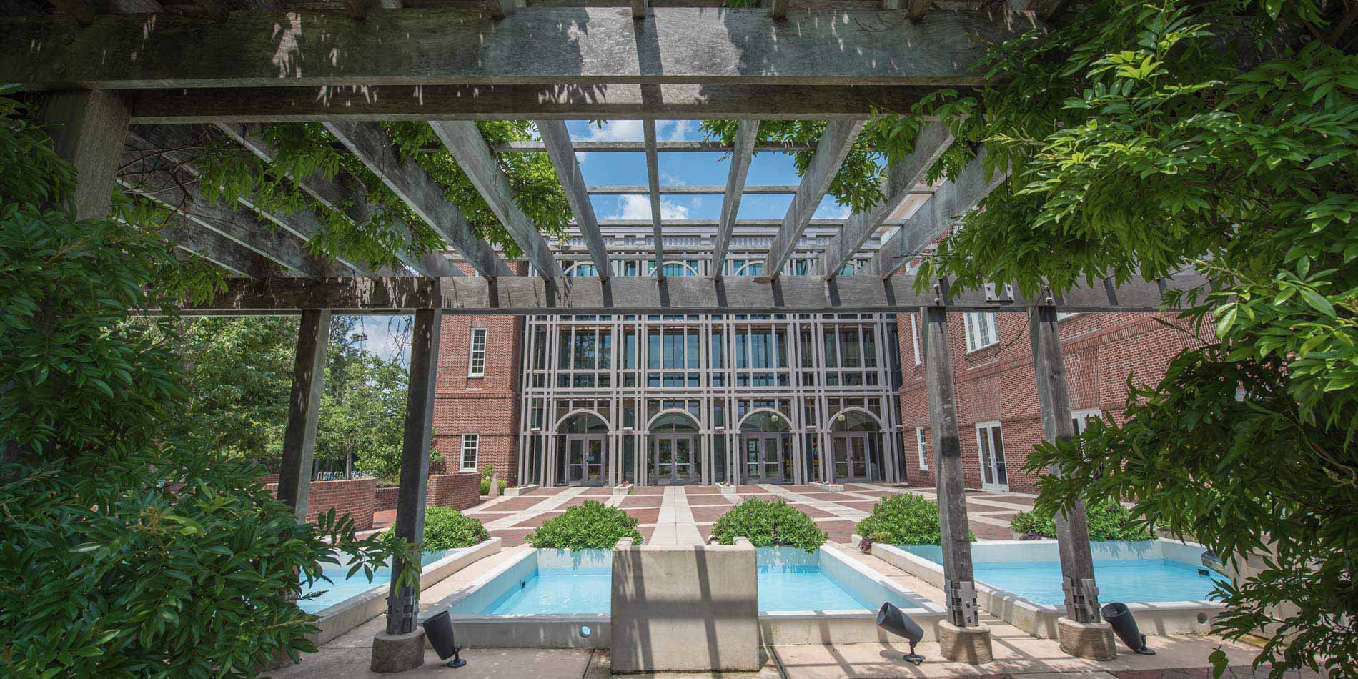 Landscape of the Watson building from the side garden