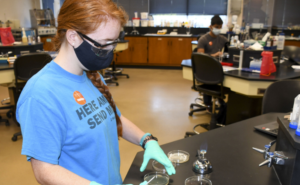 Watson student doing an experiment with petri dish