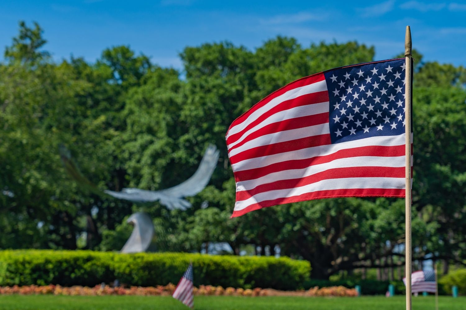 American flags planted in front of Seahawk Sculpture