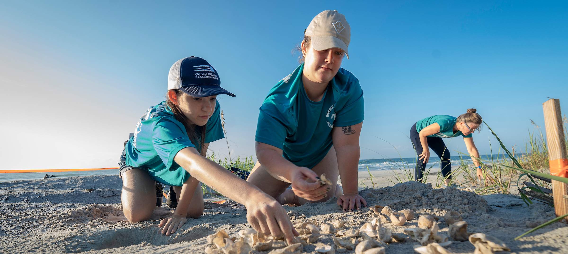 Students counting sea turtle eggs