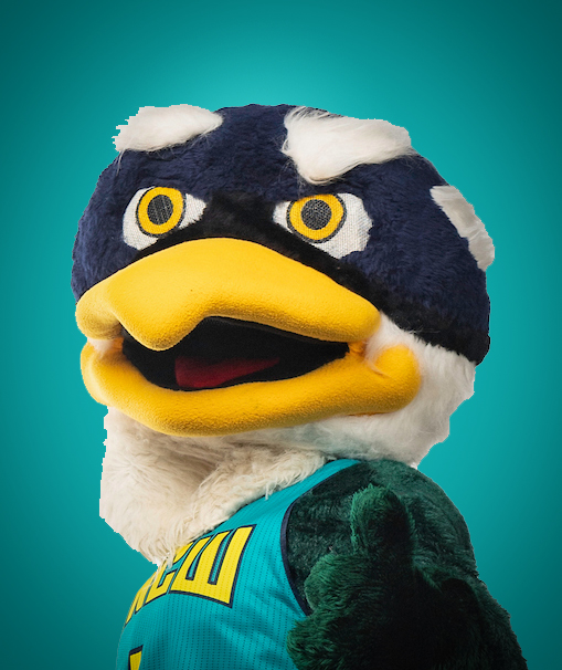 Photo Unavailable. Portrait of Mascot Sammy C. Seahawk