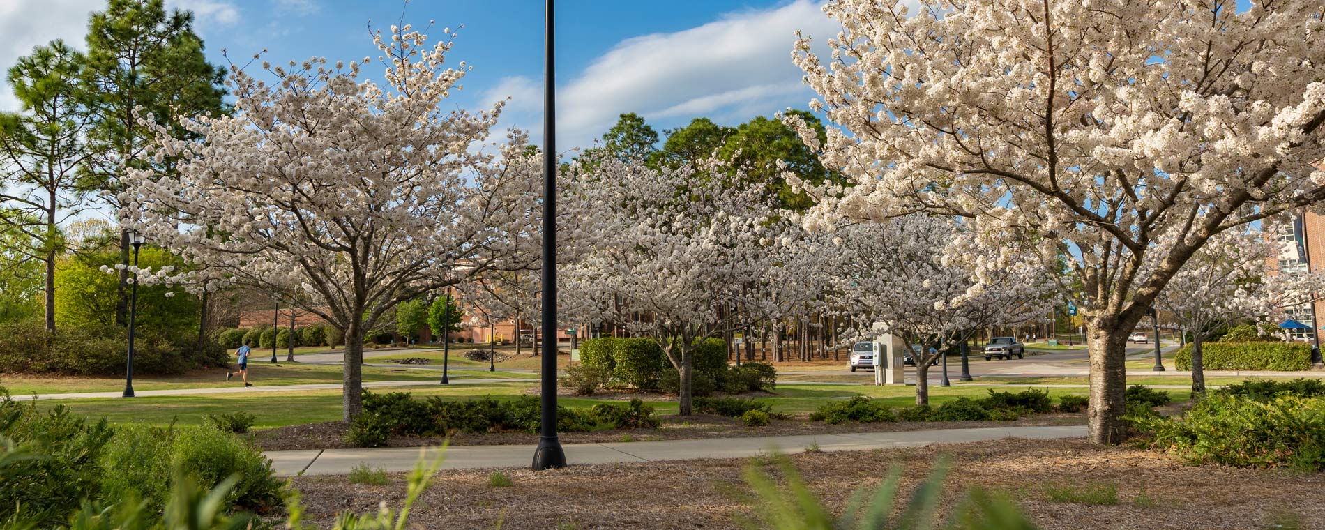 campus beauty shot