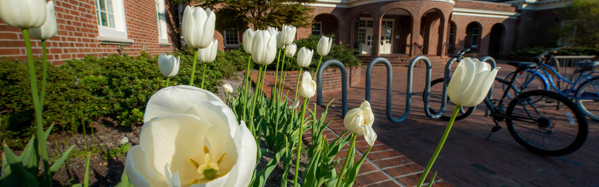 UNCW Students - outdoor