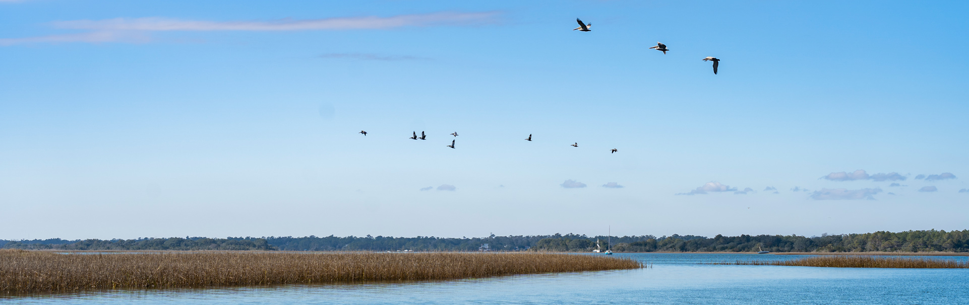 Blue water with birds flying above it