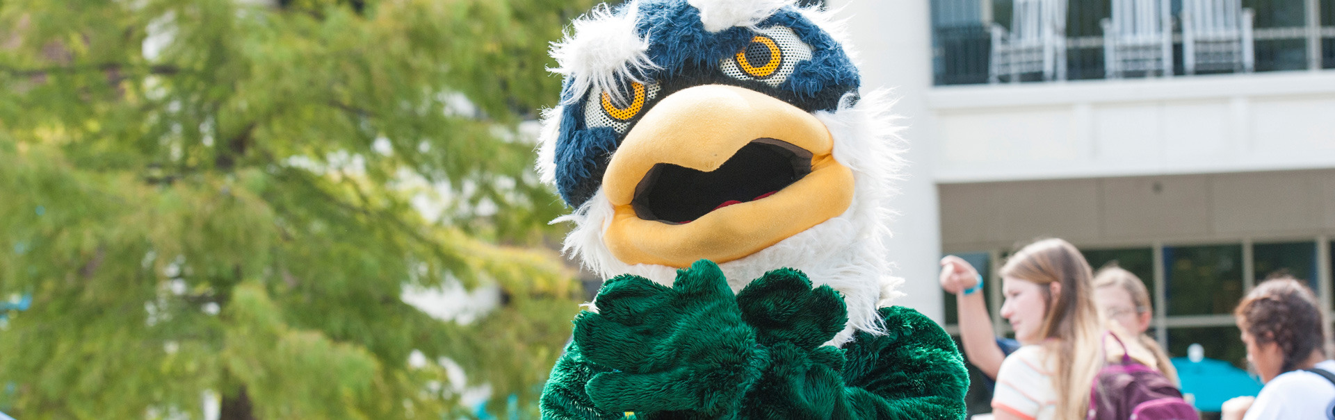 Sammy C. Hawk