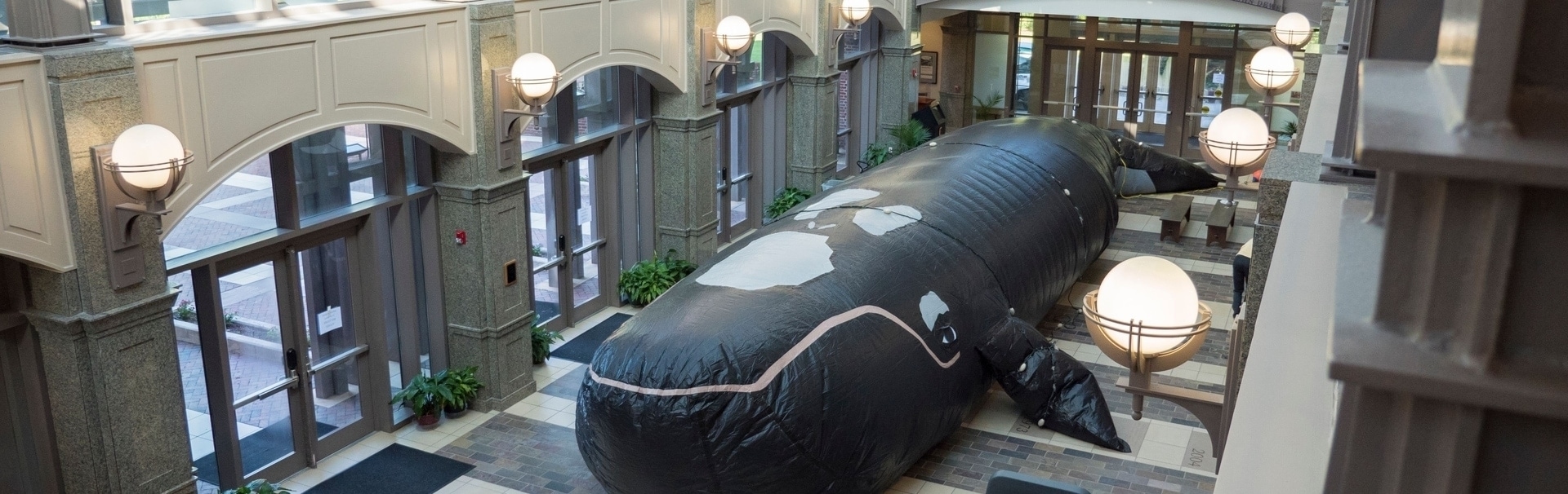 watson blow up whale