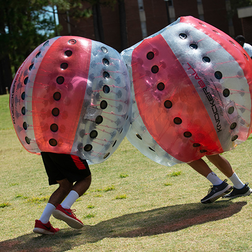 bubble field day