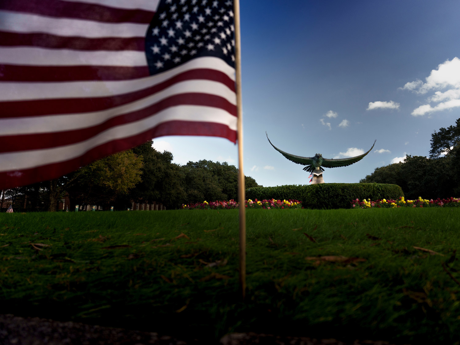UNCW appreciates our veterans