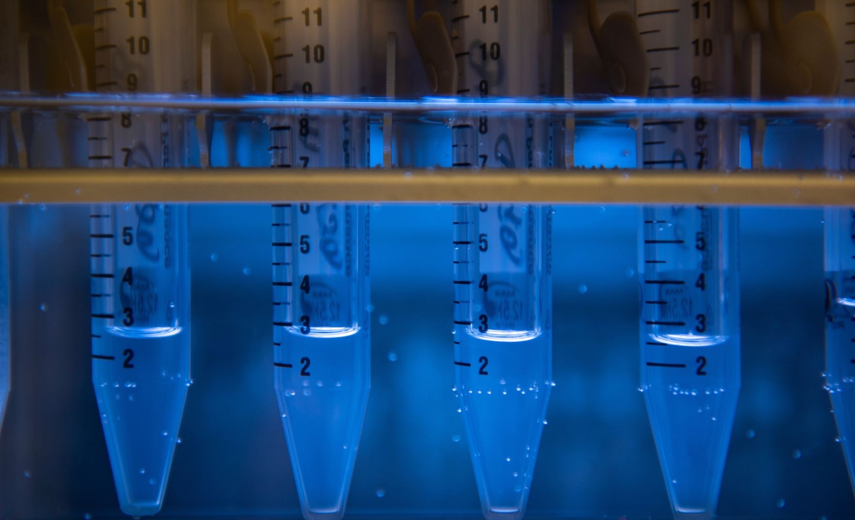 blue test tubes