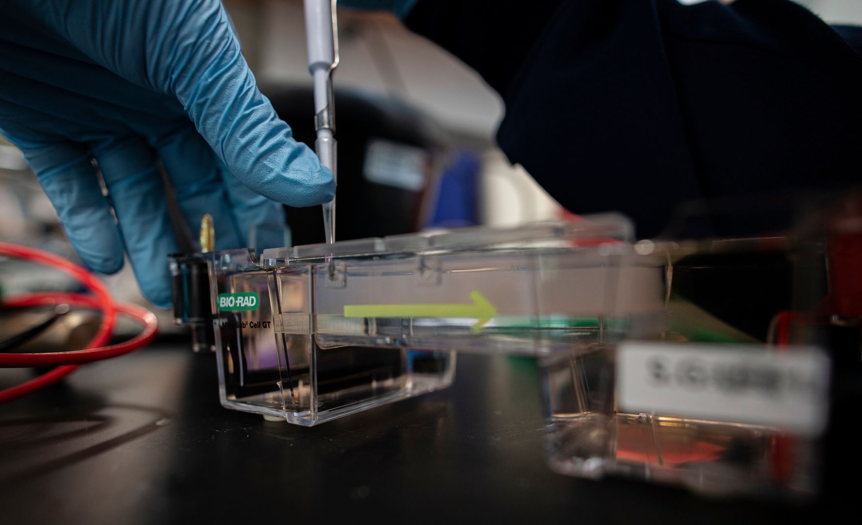 biochem tools