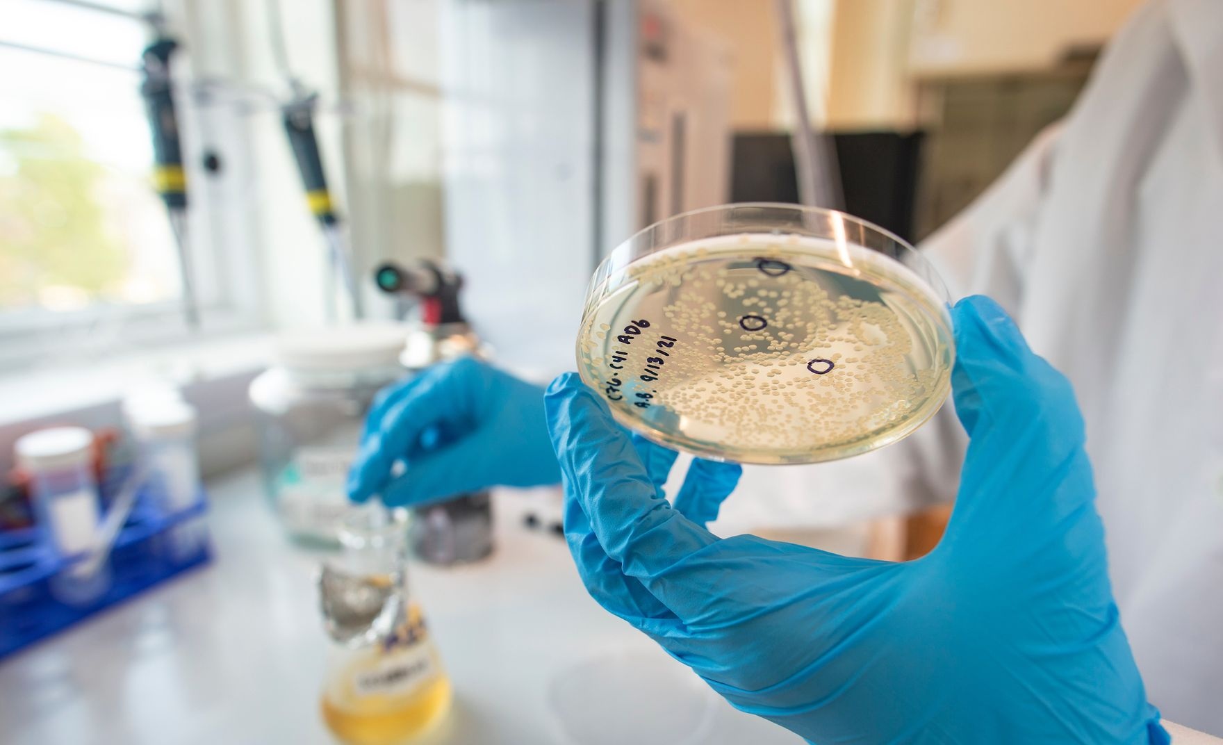 Holding a dirty petri-dish