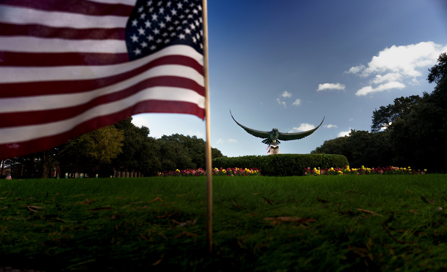 Seahawk statue with American flag