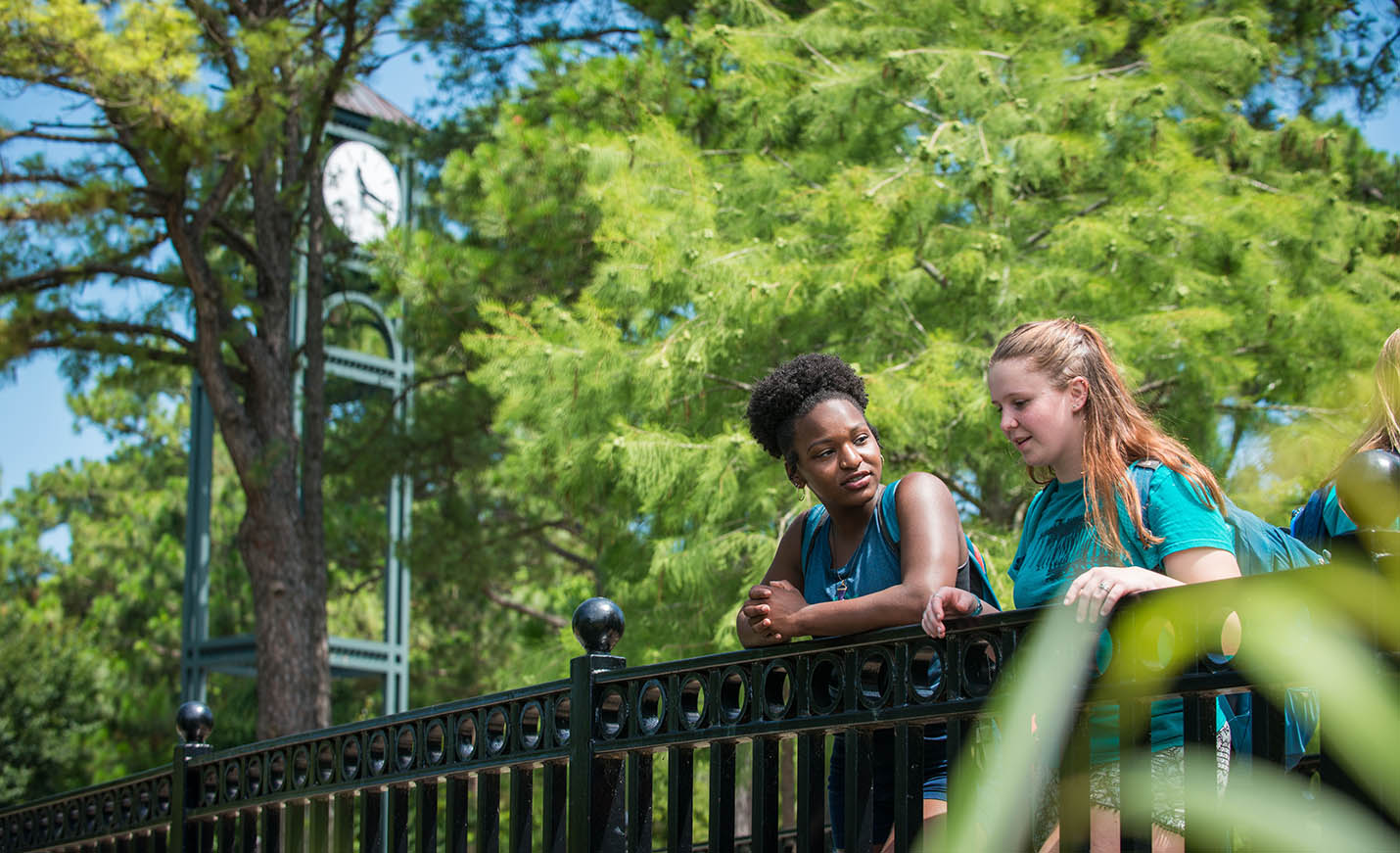 Students talking on a bridge