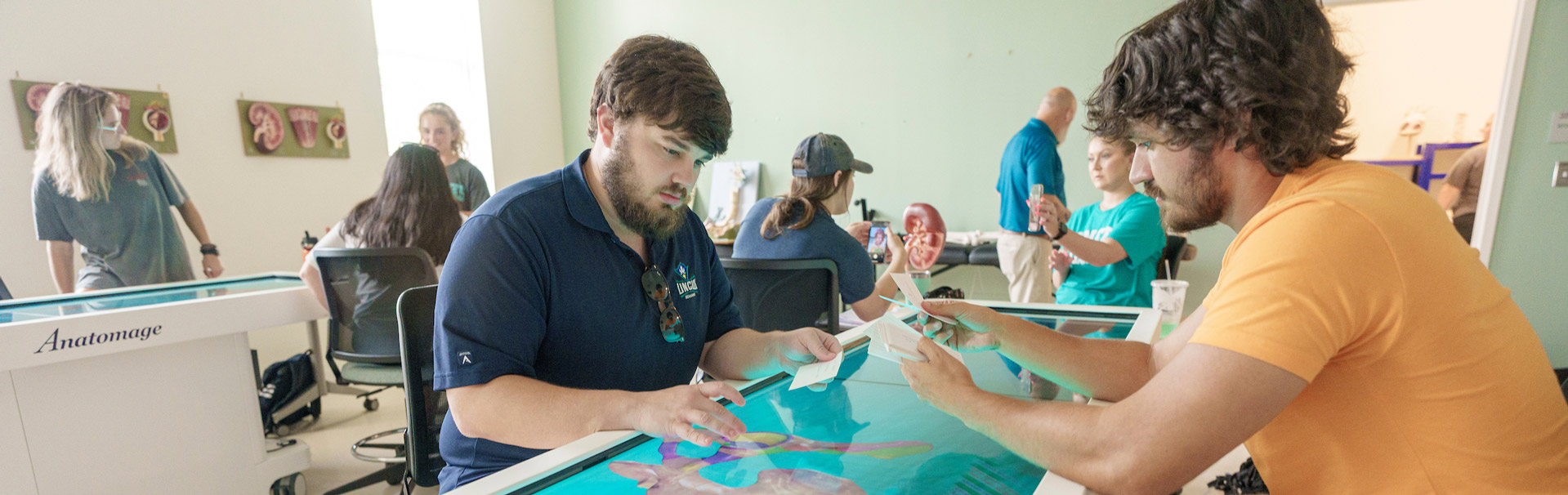 Students using an interactive Anatomage table to study anatomy