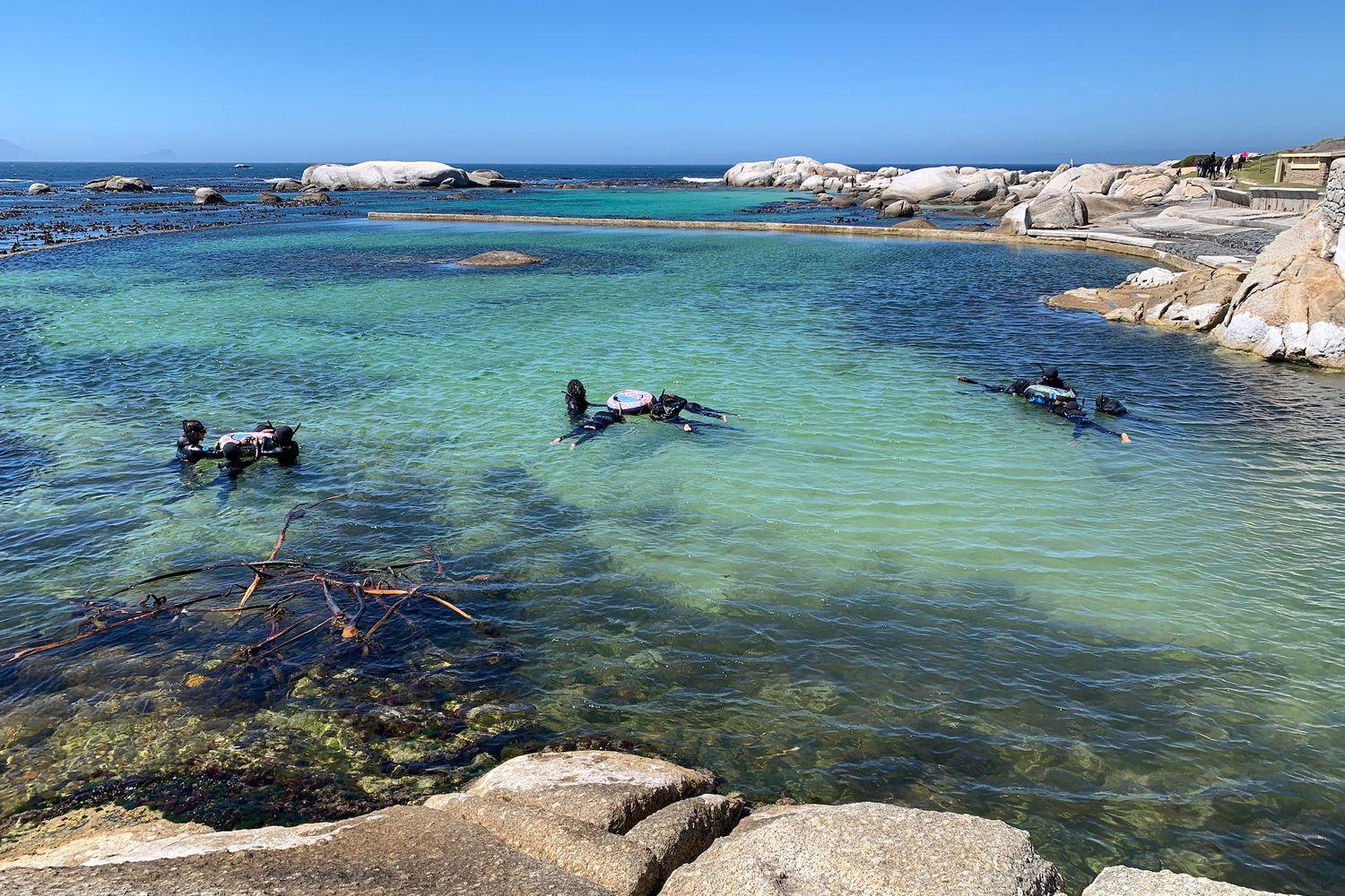 A group of middle school students snorkel in an ocean cove with guides