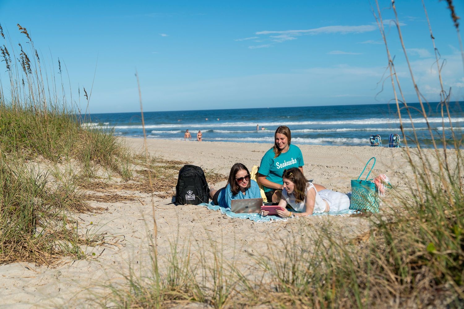 Students on a beach