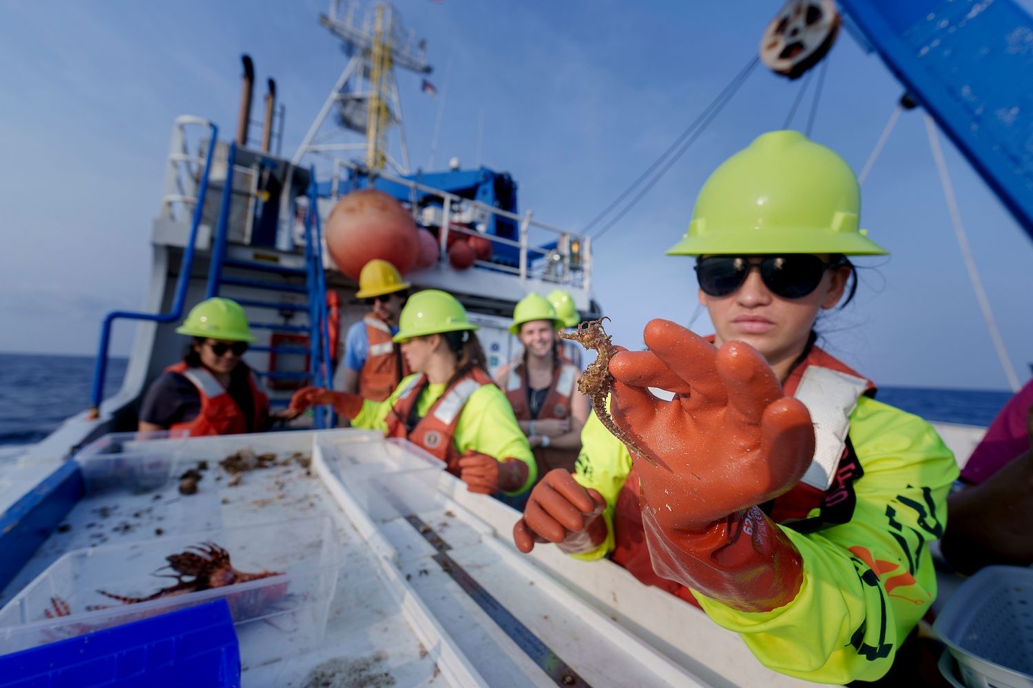 Researchers on TEAL-SHIPS expedition