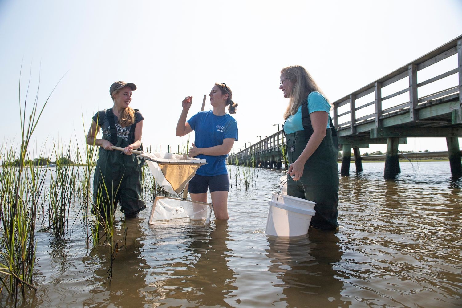 Three students stand knee-deep in a marsh with collections nets, conducting coastal research.