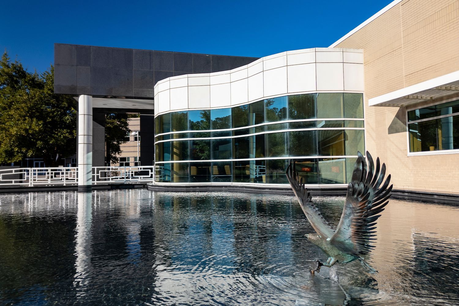 Center for Marine Science