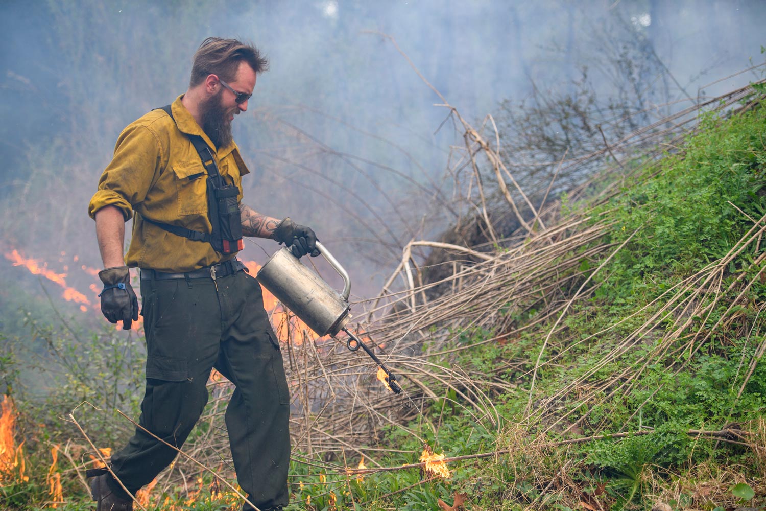 Person conducting a controlled burn on campus