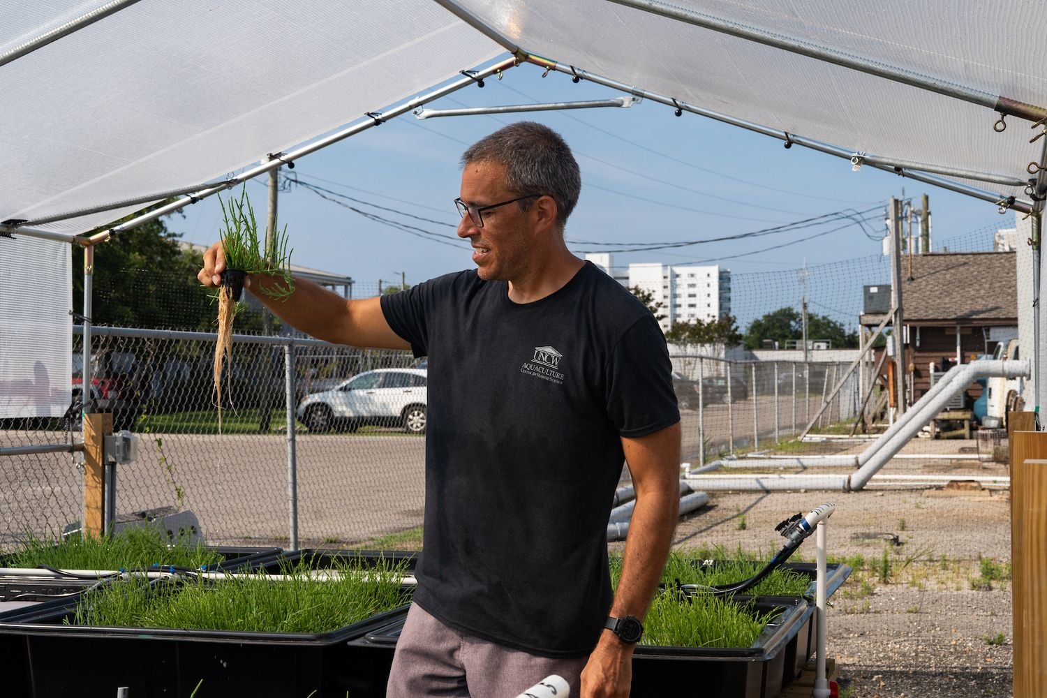 patrick carroll holding a mass of sea beans (salicornia maritima)