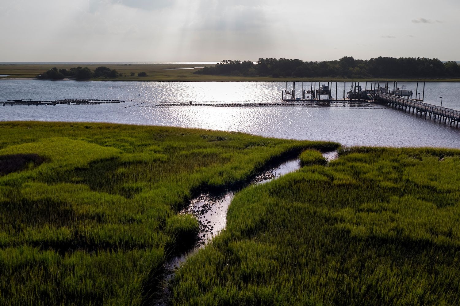 Marsh with a boat dock