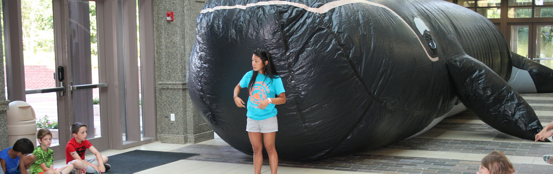 Inflatable whale in front of class