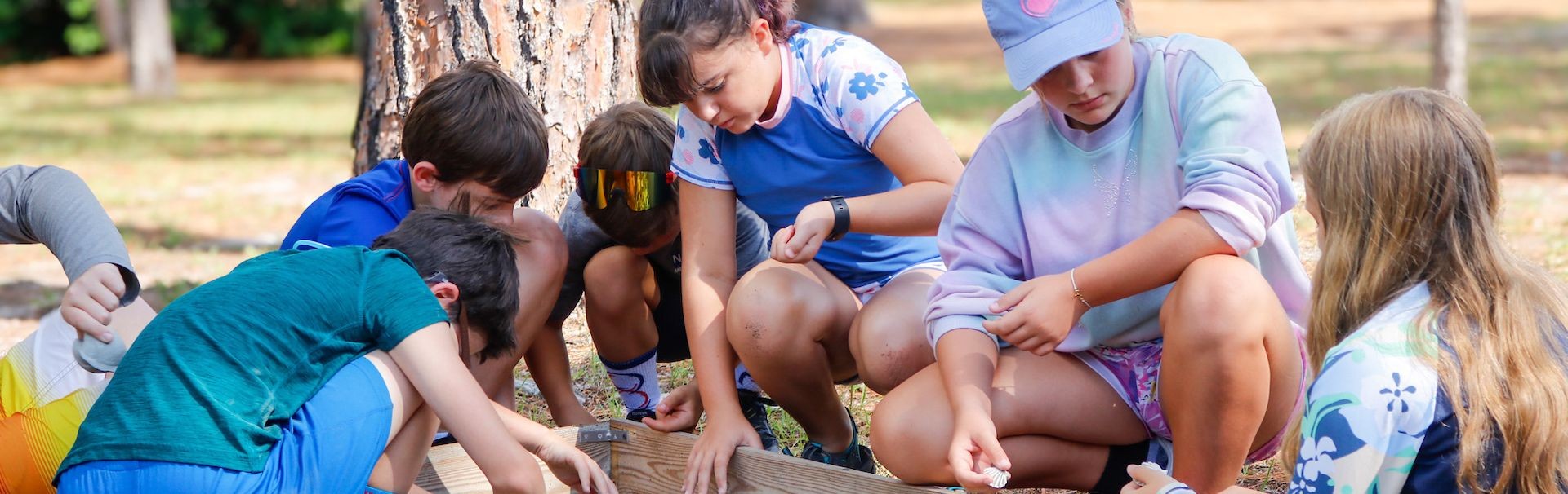 Class digging for shark fossils