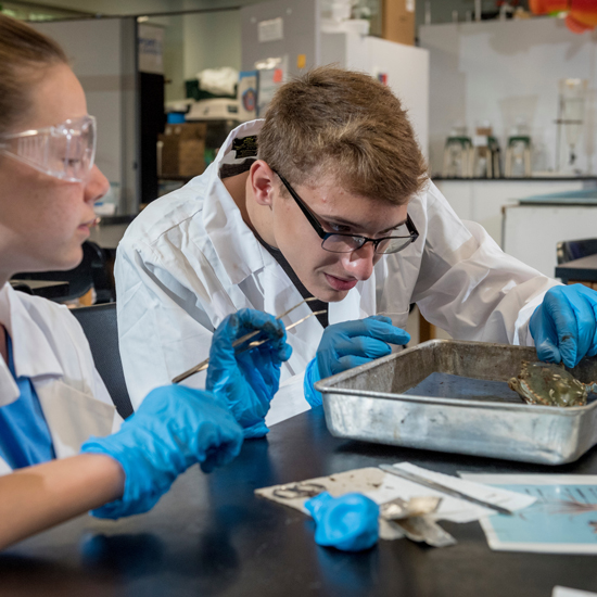 Two girls pour liquid into a vial in one of UNCW’s marine labs