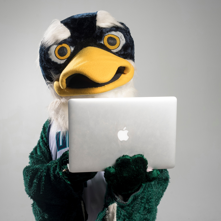 Sammy Seahawk holding a laptop